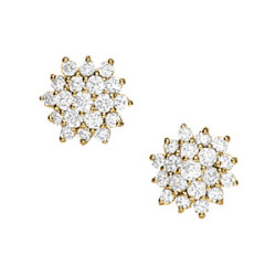 EARRINGS CLUSTER