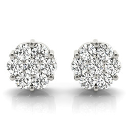 EARRINGS CLUSTER